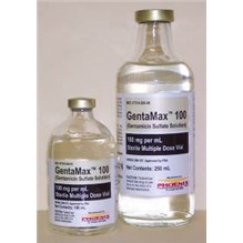 Gentamicin Sulfate Injection 250ml