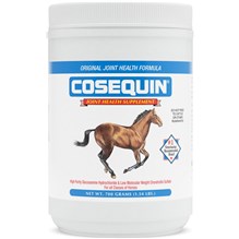 Cosequin Equine Powder 700gm