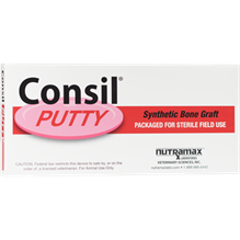 Consil Putty 10cc