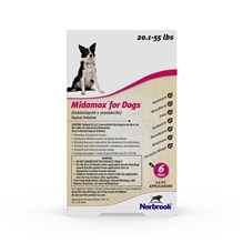 Midamox Topical Medium Dog 20.1-55lb 6 dose SINGLE CARD