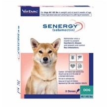 Senergy Dog 40.1-85lbs SINGLE CARD 3ds/card  240mg