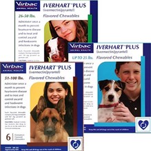 Iverhart Plus Small Blue 0-25lbs 6 dose