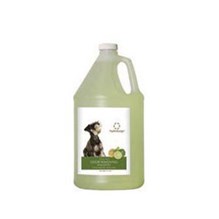 HydroSurge Odor Removing Citrus Mint Shampoo Gallon