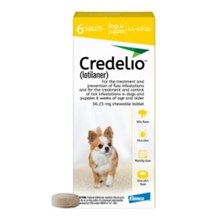 Credelio Chew Tabs 4.4-6lbs Yellow 6 Dose 10/Box