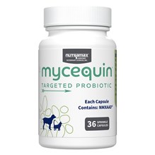 Mycequin Probiotic Caps 36ct