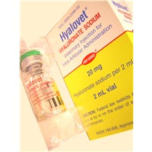 Hyalovet Injection 20mg 2ml