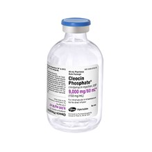 Cleocin Injection 150mg/ml 60ml 5pk  IM Or IV Clindamycin  Full Pack Only
