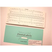 Dental Chart Refill Canine 50ct