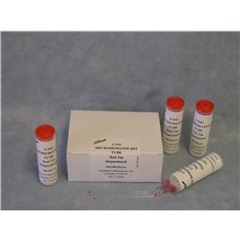 Micro-Hematocrit Heparin/Calcium Green Top Tubes