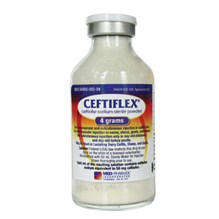 Ceftiflex Injection 4gm