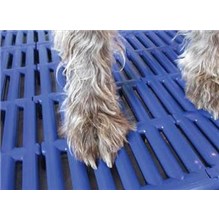 Paw Protector Cage Rack 36