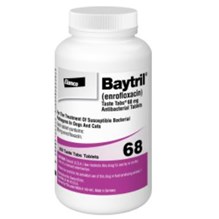 Baytril Taste Tab 68mg 250ct