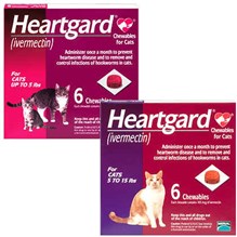 Heartgard Cat Chewables 5-15Lbs Purple 165mcg 10X6ds