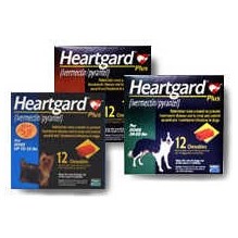 Heartgard Plus Chew 26-50lb Green 136mcg 12 Month  12x5ds
