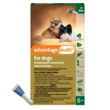Advantage Multi Dog Green 3-9lb 6 month  6 cards/bx