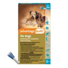 Advantage Multi Dog Teal 9-20lb 6 month  6 cards/bx