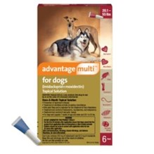 Advantage Multi Dog Red 20-55lb 6 month  6 cards/bx
