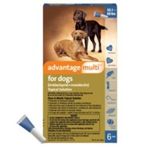 Advantage Multi Dog Blue 55-88lb  6 month  6 cards/bx