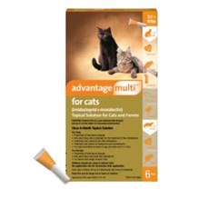 Advantage Multi Cat Orange 5-9lb 6 month  6 cards/bx