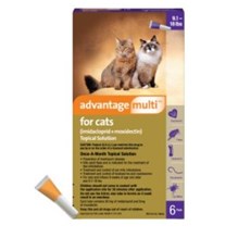 Advantage Multi Cat Purple 9-18lb 6 month  6 cards/bx