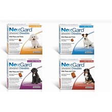 NexGard Soft Chew Medium Dog 10.1-24Lb 6ds X 10 Blue