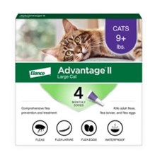 Advantage II Cat Purple 9-18lb  4 month  6 cards/bx