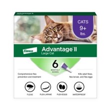 Advantage II Cat Purple 9-18lb  6 month  6 cards/bx