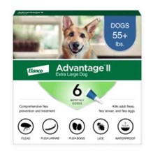 Advantage II Dog Blue 55-88lb 6 month  6 cards/bx
