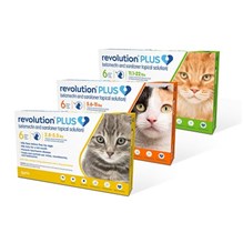 Revolution Plus Cat Gold 2.8-5.5Lb 6ds Card (Must purchase a minimum of 5 cards)