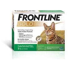 Frontline Gold Cat/Kitten 6 X 6 Dose Green