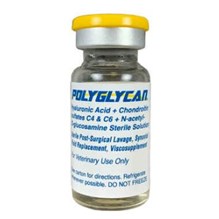 Polyglycan Injection 10ml