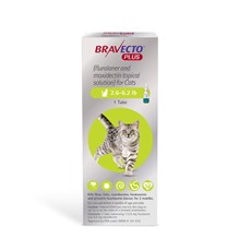 Bravecto Plus Cat Topical Green 2.6 - 6.2lbs 112.5mg 1 dose/card 10 cards per box