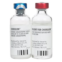 Chorulon Injection 10,000U 10ml Chorionic