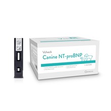 Vcheck Canine NT-ProBNP  5/bx
