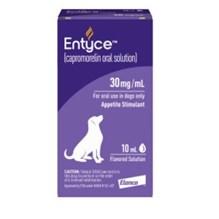 Entyce Oral Suspension 30mg/ml 10ml