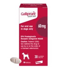 Galliprant Flavored Tabs 60mg 30ct