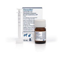 Clavacillin Oral Suspension Drop 62.5mg/ml 15ml (Amoxicillin & Clavulanate