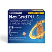 Nexgard Plus Soft Chews for Dogs 17.1-33lbs (6 dose x 10) Yellow