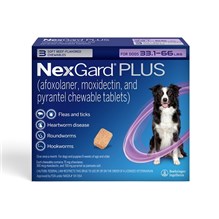 NexGard Plus Soft Chews for Dogs 33.1-66lbs (3 dose x 10) Purple