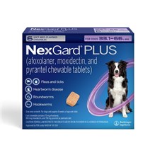 NexGard Plus Soft Chews for Dogs 33.1-66lbs (6 dose x 10) Purple