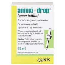 Amoxi Drops 50mg 30ml 12/pk