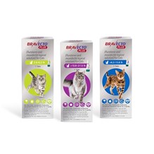 Bravecto Plus Cat Topical Purple 13.8 - 27.5lbs 500mg 1 dose/card 10 cards per box