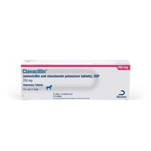 Clavacillin Tab 250mg 210ct (amoxicillin and clavulanate potassium)