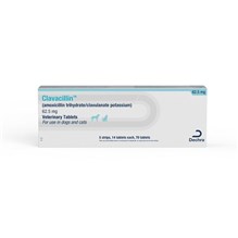 Clavacillin Tab 62.5mg 70ct (amoxicillin trihydrate/clavulanate potassium)