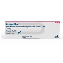 Clavacillin Tab 250mg 70ct (amoxicillin and clavulanate potassium)