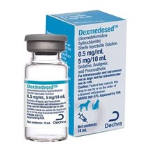 Dexmedesed Injection 0.5mg/ml 10ml