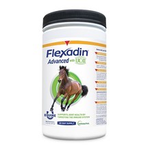 Flexadin Equine UCII 600gm