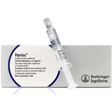 Hyvisc Injection 2ml