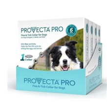 Provecta Pro Flea and Tick Collar for Dogs  4 cards/bx