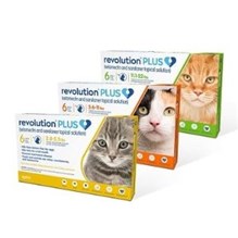 Revolution Plus Cat Orange 5.6-11Lb 6ds Card (Must purchase a minimum of 5 cards)